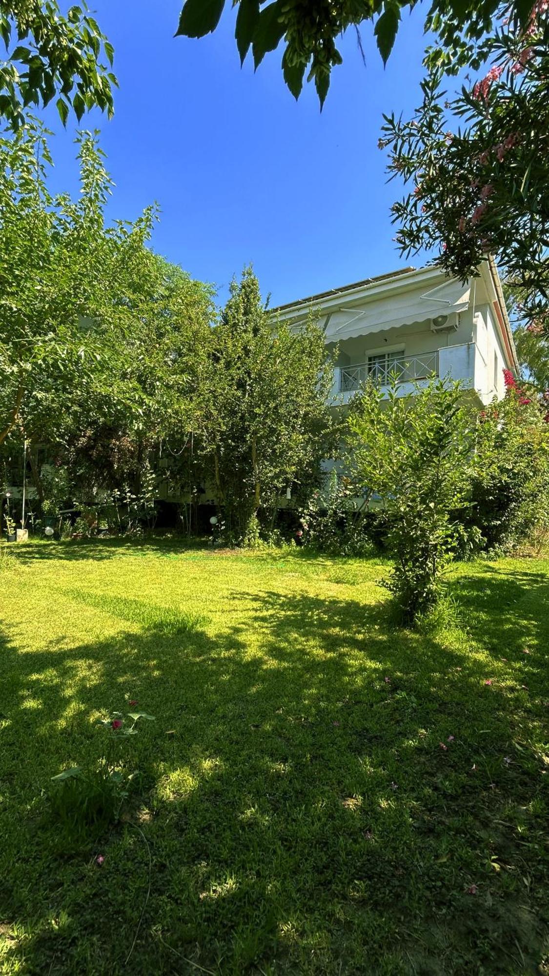 Anthonas House Daire Nikiti  Dış mekan fotoğraf