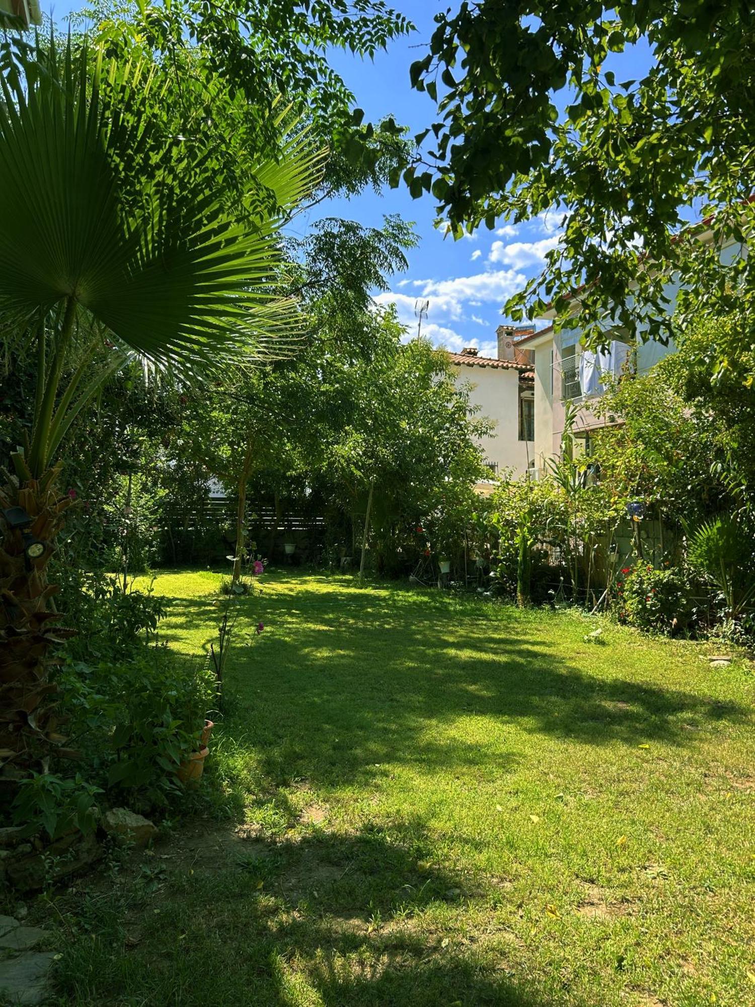 Anthonas House Daire Nikiti  Dış mekan fotoğraf