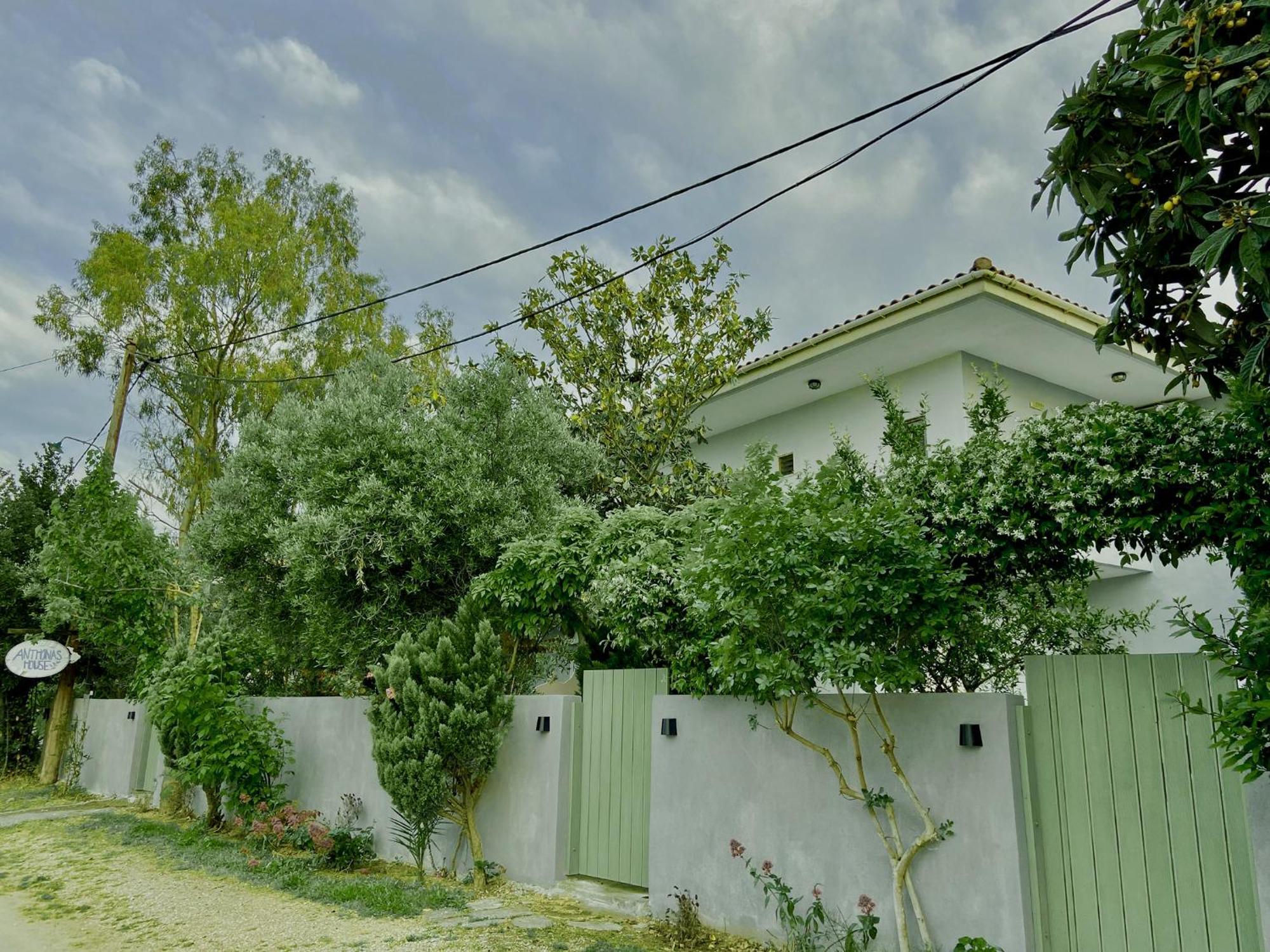 Anthonas House Daire Nikiti  Dış mekan fotoğraf
