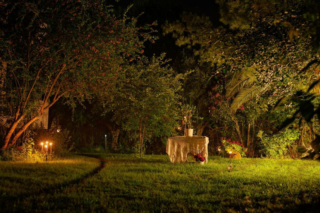 Anthonas House Daire Nikiti  Dış mekan fotoğraf